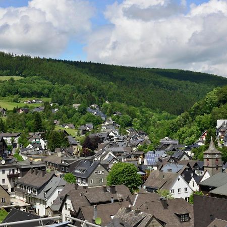 Beautiful Apartment In Willingen With Balcony Екстер'єр фото