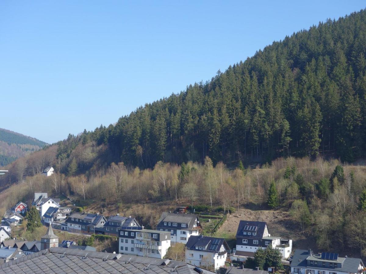Beautiful Apartment In Willingen With Balcony Екстер'єр фото