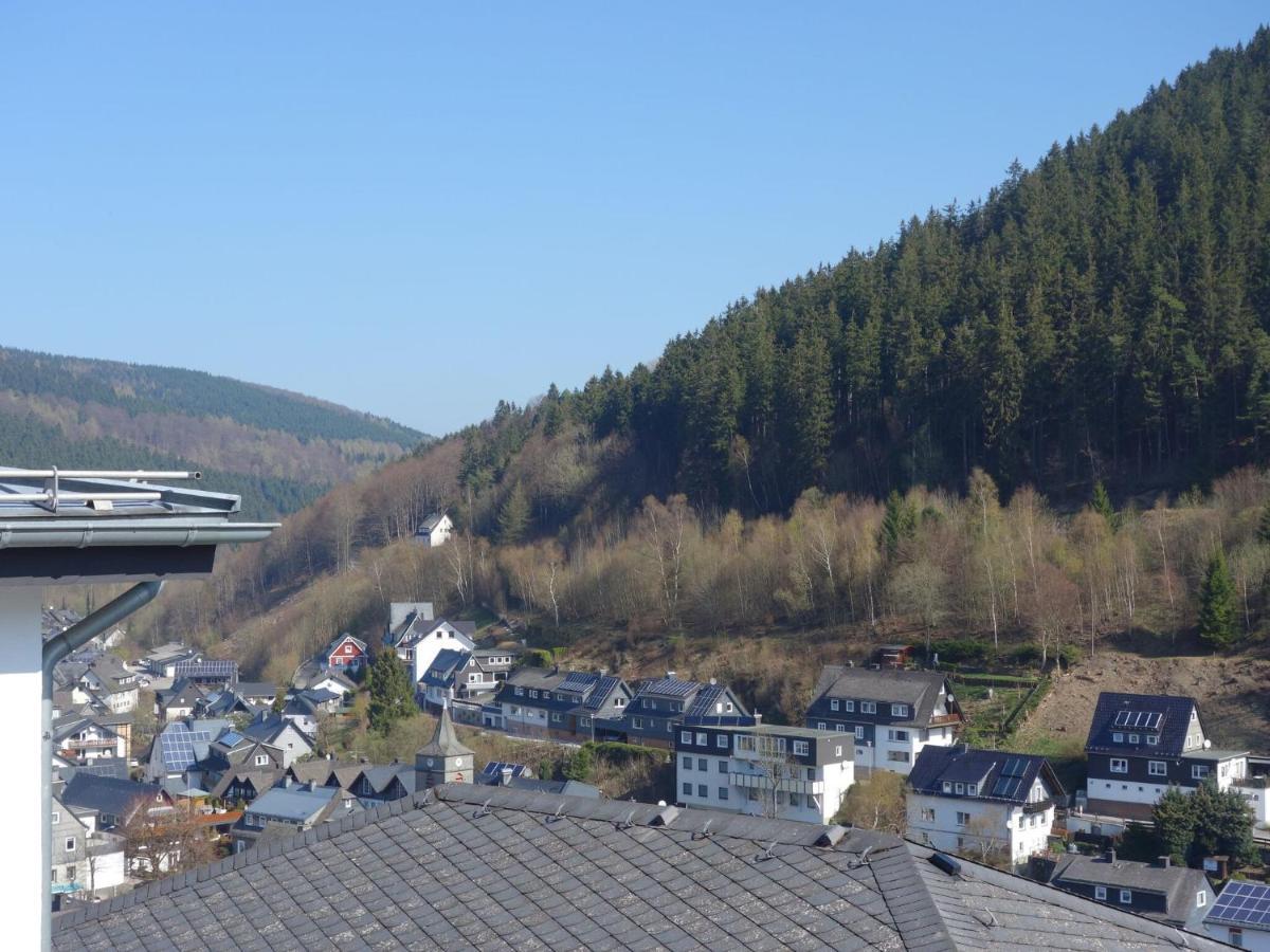 Beautiful Apartment In Willingen With Balcony Екстер'єр фото